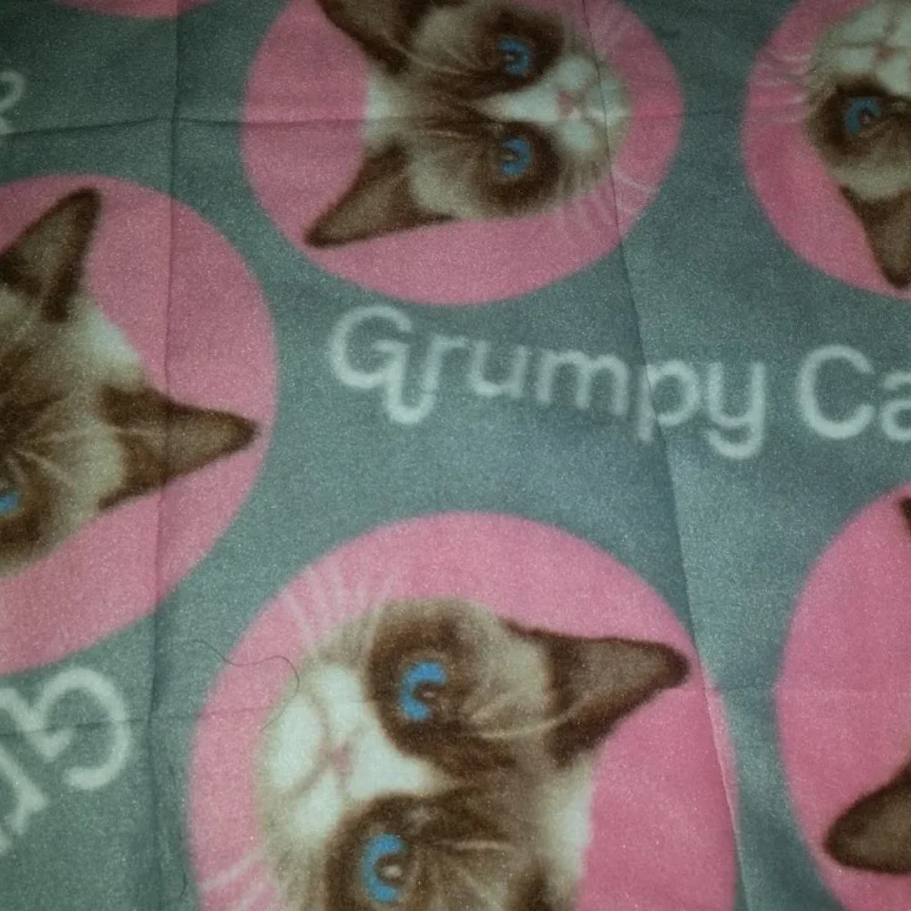 Cat nip Hammock